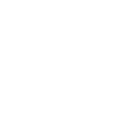 SEPAL logo